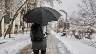 Қар, жауын-шашын, 5 наурыз, ауа райы болжамы, дауылды ескерту, Қазақстан, сурет - Zakon.kz жаңалық 04.03.2026 20:41