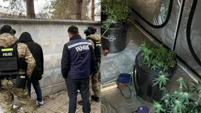 Фитозертхана, Алматы, жалға алынған тұрғын үй , сурет - Zakon.kz жаңалық 04.03.2026 18:53