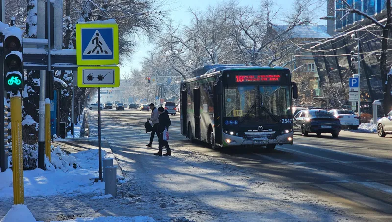 Көкшетауда автобус есігіне қысылып қалған қыз бала сүйегін сындырды