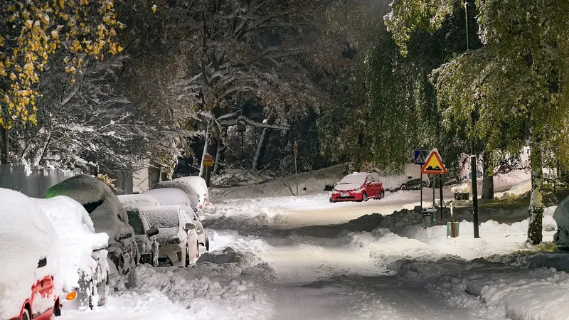 Алматыда қалың қар жауып, күн суытады: алдағы аптаға ауа райы болжамы