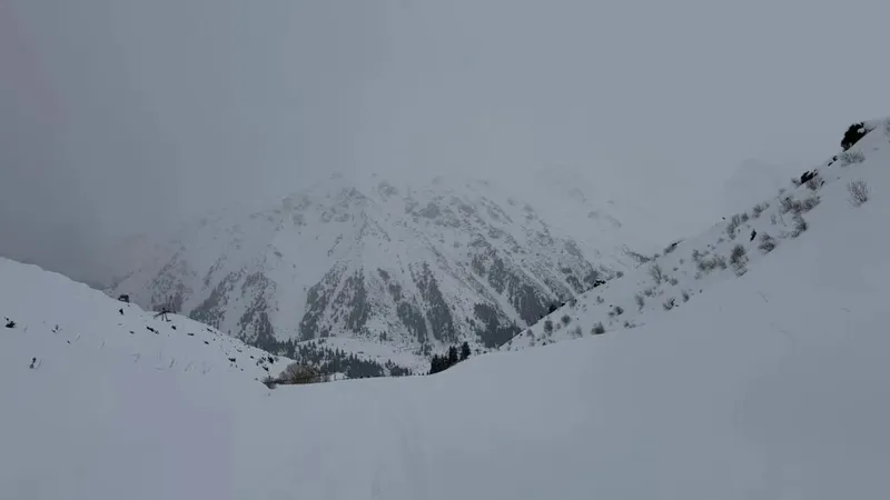 ТЖМ қар көшкінінің өздігінен түсуі туралы ескертті