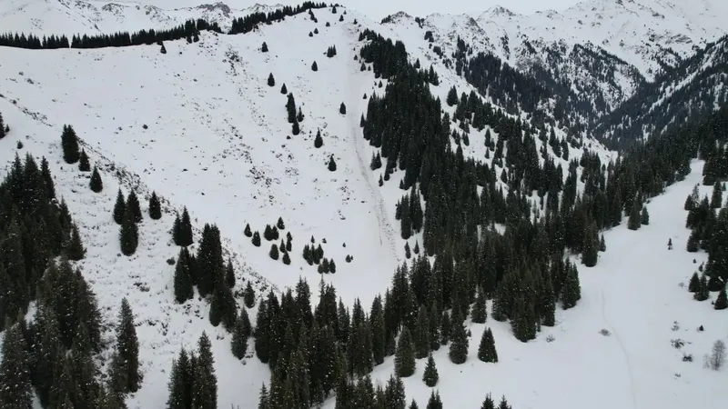 Алматылық құтқарушылар тұрғындарды тауға бармауға үндеді