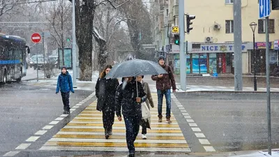 Жауын-шашын, ауа райы болжамы, 9 наурыз, Қазақстан, сурет - Zakon.kz жаңалық 08.03.2026 15:46