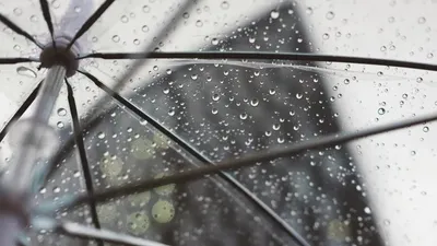 Жаңбыр, ауа райы болжамы, 10 наурыз, Қазақстан , сурет - Zakon.kz жаңалық 09.03.2026 16:23