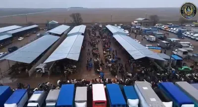 Түркістанда полицейлер ветеринария заңнамасын бұзған 30-ға жуық тұрғынды анықтады, сурет - Zakon.kz жаңалық 10.03.2026 22:46