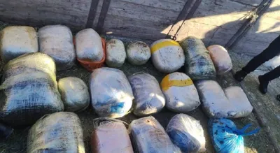 Қостанай облысында ер адамнан 200 келіден астам есірткі тәркіленді, сурет - Zakon.kz жаңалық 10.03.2026 18:52