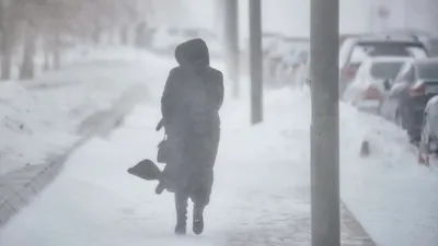 11 наурызда елдің қай өңірлерінде ауа райына байланысты ескерту жасалды, сурет - Zakon.kz жаңалық 10.03.2026 22:30