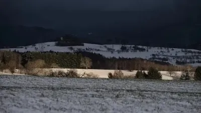 Мал іздеуге шығып, оралмаған: Павлодар облысында шопан өлі күйінде табылды, сурет - Zakon.kz жаңалық 11.03.2026 18:31