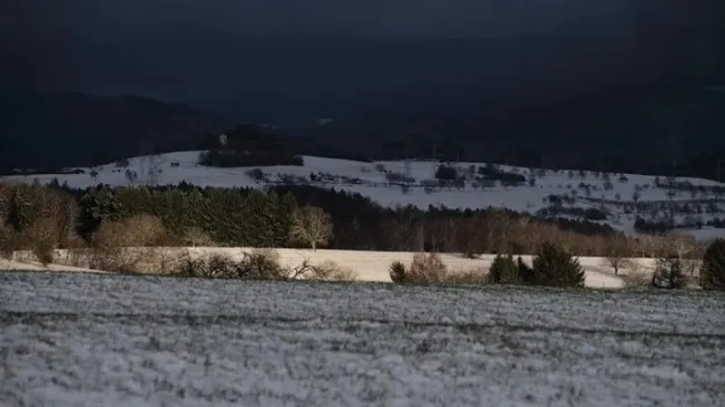 Мал іздеуге шығып, оралмаған: Павлодар облысында шопан өлі күйінде табылды