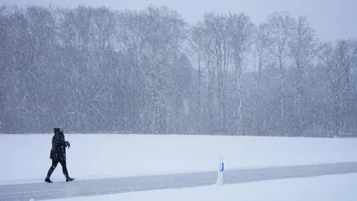 Қазақстанда 12 наурызда боран мен дауылды жел соғады, сурет - Zakon.kz жаңалық 11.03.2026 17:47