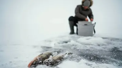 Жайық өзеніндегі қауіпті жағдай: полиция Атырау облысының тұрғындарына үндеу жасады, сурет - Zakon.kz жаңалық 12.03.2026 19:50