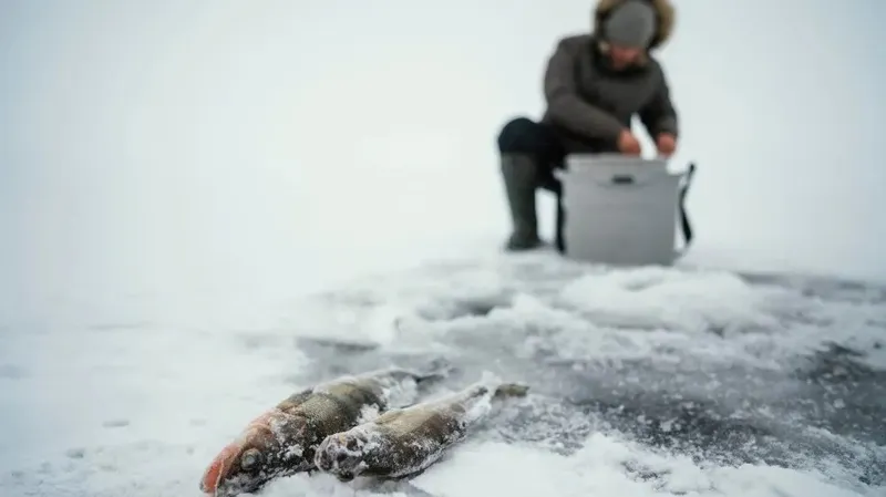 Жайық өзеніндегі қауіпті жағдай: полиция Атырау облысының тұрғындарына үндеу жасады