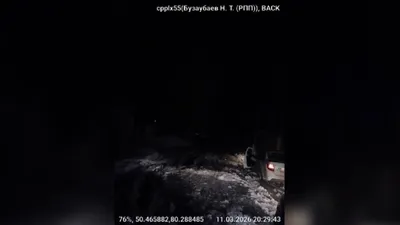 Абай облысында полицейлер қолайсыз ауа райында көлігі суға батқан жүргізушіге көмектесті, сурет - Zakon.kz жаңалық 12.03.2026 18:40