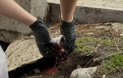 Алматыда кеміргіштерге қарсы көктемгі науқан басталады, сурет - Zakon.kz жаңалық 14.03.2026 11:40