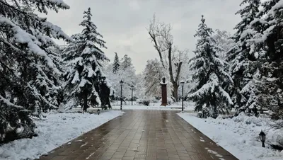 15 наурызда Қазақстанның екі өңірінде қар жауады, сурет - Zakon.kz жаңалық 14.03.2026 15:52