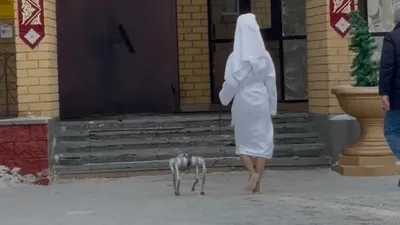 Қызық оқиға: халат киген қыз робот-итпен дауыс беруге келді, сурет - Zakon.kz жаңалық 15.03.2026 09:05