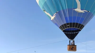 Дауыс беру үшін аспаннан түсті: Өскеменде референдумға әуе шарымен және парапланмен ұшып келген , сурет - Zakon.kz жаңалық 15.03.2026 16:48