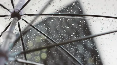 16 наурызда елдің басым бөлігінде қолайсыз ауа райына байланысты ескерту жасалды, сурет - Zakon.kz жаңалық 15.03.2026 19:52