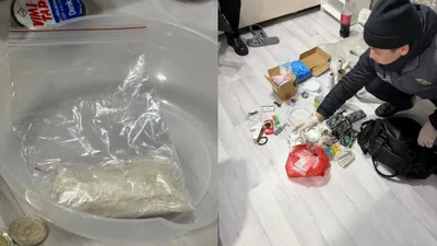 Технология дамыған заманда да табиғат берген ерекше қабілет — иіс сезу құқық қорғау органдары үшін әлі де таптырмас құрал болып отыр., сурет - Zakon.kz жаңалық 16.03.2026 13:13