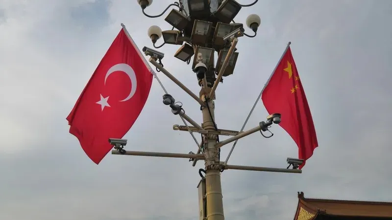 Қытай мен Түркия Қазақстандағы референдумға қатысты мәлімдеме жасады