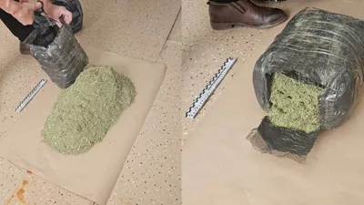 Ақтөбе облысында тұрғыннан 4 келі марихуана тәркіленді, сурет - Zakon.kz жаңалық 18.03.2026 19:07