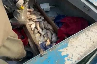 Түркістан облысында полиция браконьерлерден 130 келіге жуық балық тәркіледі, сурет - Zakon.kz жаңалық 18.03.2026 18:38