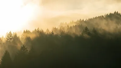 19 наурызда елдің қай өңірлерінде ауа райына байланысты ескерту жасалды, сурет - Zakon.kz жаңалық 18.03.2026 20:40