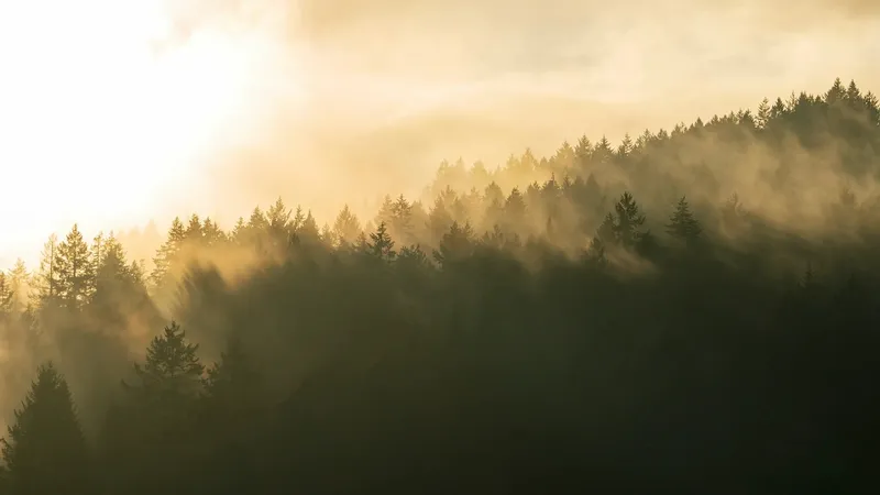 19 наурызда елдің қай өңірлерінде ауа райына байланысты ескерту жасалды
