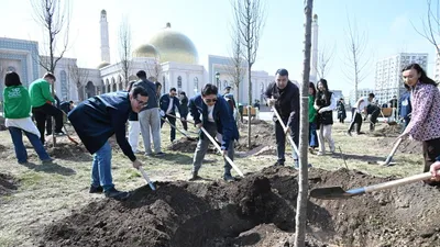 Алматыда Наурыз мейрамы аясында ауқымды ағаш егу жұмыстары жүргізілді. Іс-шараға қала әкімі Дархан Сатыбалды қатысты., сурет - Zakon.kz жаңалық 21.03.2026 16:16