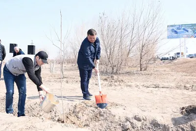 Қызылордада "Мөлдір бұлақ" ауқымды экологиялық акциясы өтті, сурет - Zakon.kz жаңалық 23.03.2026 15:42