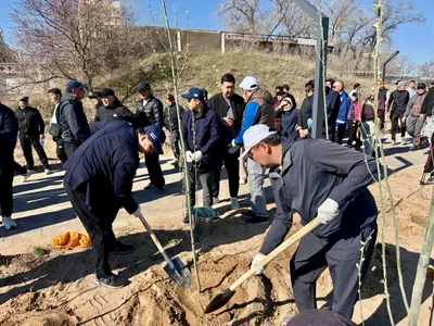 "Таза Қазақстан": Қонаевта 3 000 түп ағаш отырғызу жұмысы басталды, сурет - Zakon.kz жаңалық 28.03.2026 14:40