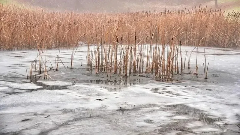 Ақмола облысында өзен тасып, көпірді су басып қалды