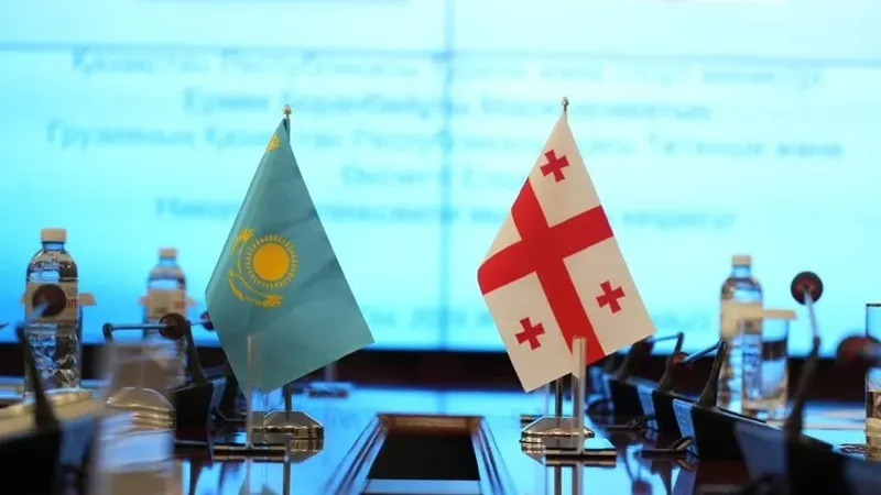 Грузияда ұсталған қазақстандықтар: ІІМ ресми мәлімдеме жасады