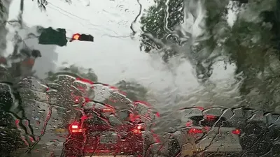 Жаңбыр, ауа райы болжамы, 2 сәуір, Қазақстан, дауылды ескерту, сурет - Zakon.kz жаңалық 01.04.2026 21:10