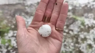 Бұршақ, ауа райы болжамы, 2 сәуір, Қазақстан, сурет - Zakon.kz жаңалық 01.04.2026 17:38