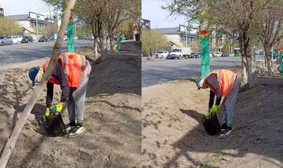 Қызылордада әлеуметтік желі арқылы вейп сатқан алаяқ ұсталды, сурет - Zakon.kz жаңалық 02.04.2026 18:07