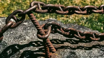 Атыраулық әйел аулада шынжырда тұрған итті күрекпен сабаған, сурет - Zakon.kz жаңалық 02.04.2026 10:15