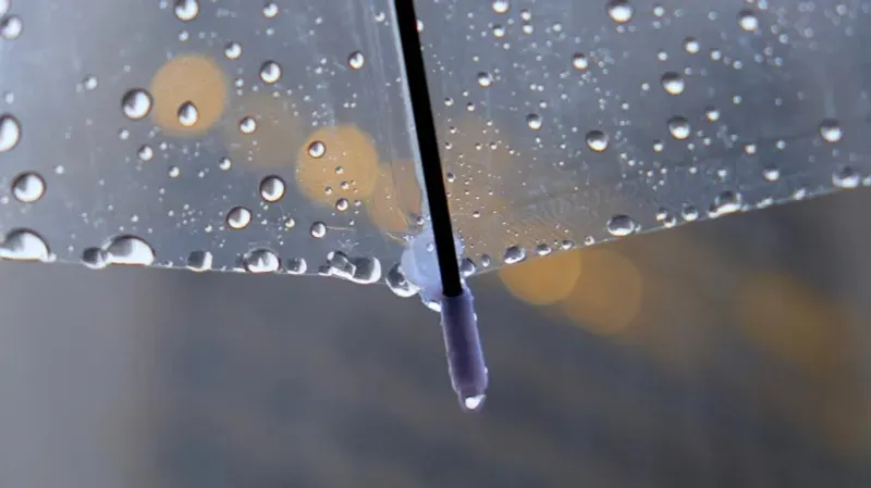 "Жаңбыр, бұршақ, тұман". Еліміздің басым бөлігінде дауылды ескерту жарияланды