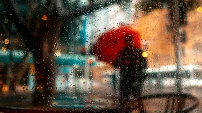 Жаңбыр, ауа райы болжамы, 4 сәуір, Қазақстан, дауылды ескерту, сурет - Zakon.kz жаңалық 03.04.2026 18:21