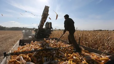 Қазақстан Республикасы Ауыл шаруашылығы министрлігі агроөнеркәсіп кешені субъектілерінің қарыздарын кепілдендіру және сақтандыру шеңберіндегі субсидиялау қағидаларына өзгерістер жобасын әзірледі, деп хабарлайды Zakon.kz., сурет - Zakon.kz жаңалық 06.04.2026 16:24