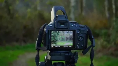 Сотта анықталғандай, 2025 жылғы ақпанда блогер ЖШС-ге тиесілі өлекселер мен жарамсыз деп танылған құстың сыртқа шығарылғанына куә болған., сурет - Zakon.kz жаңалық 06.04.2026 14:58