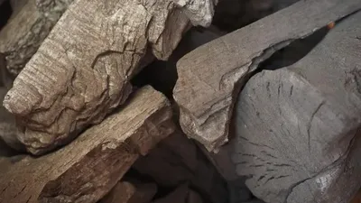 2026 жылғы 7 сәуірде Энергетика министрі Ерлан Ақкенженов Үкімет отырысында көмірді бөлу процесінің ашықтығын қамтамасыз ету үшін жаңа цифрлық жүйе енгізу жоспарланып отырғанын мәлімдеді, деп хабарлайды Zakon.kz., сурет - Zakon.kz жаңалық 07.04.2026 16:02