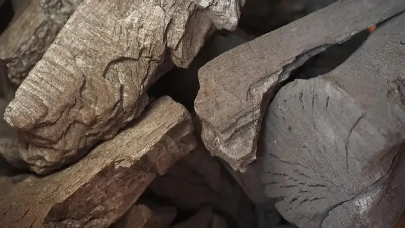 Қазақстанда көмірді бөлуді реттейтін жаңа цифрлық жүйе енгізіледі