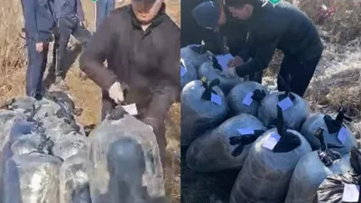 Павлодар облысында ұйымдасқан қылмысқа қарсы күрес жөніндегі жедел қызметкерлер ауқымды арнайы операция жүргізді. , сурет - Zakon.kz жаңалық 07.04.2026 12:47