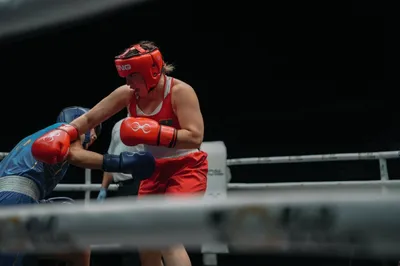 Бокстан әйелдер құрамасының бас бапкері Азия чемпионатын қорытындылады, сурет - Zakon.kz жаңалық 09.04.2026 22:40