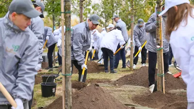 Шымкентте 11 сәуірде "Таза қала" жалпықалалық сенбілігі өтеді, сурет - Zakon.kz жаңалық 10.04.2026 18:47