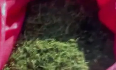 ІІМ: Жыл басынан бері айналымға шамамен үш тонна есірткі жіберілмеді, сурет - Zakon.kz жаңалық 12.04.2026 13:04