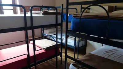 Алматы полициясы хостелдерге ауқымды тексеру жүргізуде: мыңнан астам құқық бұзушылық анықталды, сурет - Zakon.kz жаңалық 14.04.2026 15:09