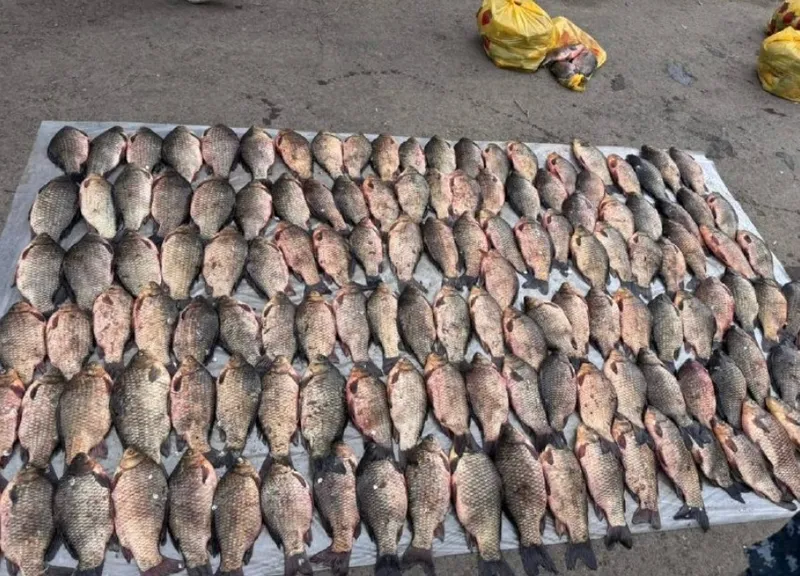 Оралда полицейлер тұрғыннан 274 келі балық тәркіледі