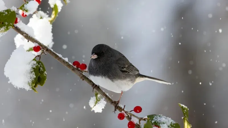 Нөсер жауын мен дауыл: 16 сәуірде қандай ауа райы күтеледі